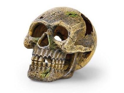 EDEN akvarijní dekorace - Lebka