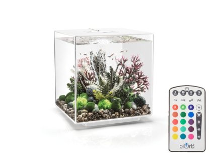 biOrb CUBE 60 MCR white