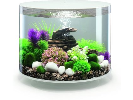 biOrb TUBE 35 LED white