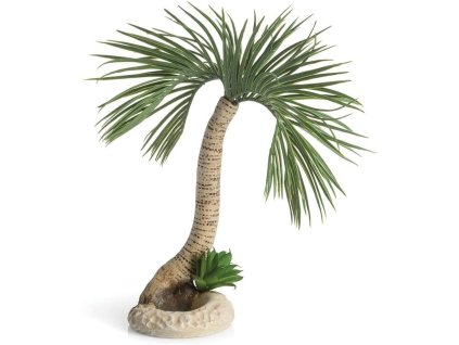 biOrb palm tree Seychelles Large