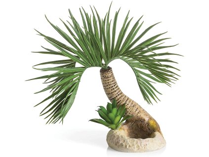 biOrb palm tree Seychelles Small