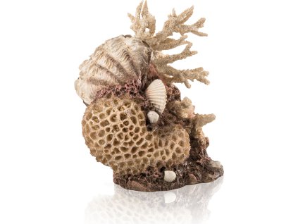 biOrb coral-shells ornament natural