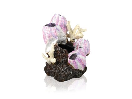 biOrb barnacle ornament small pink