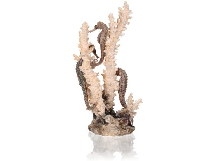 biOrb seahorses on coral natural medium