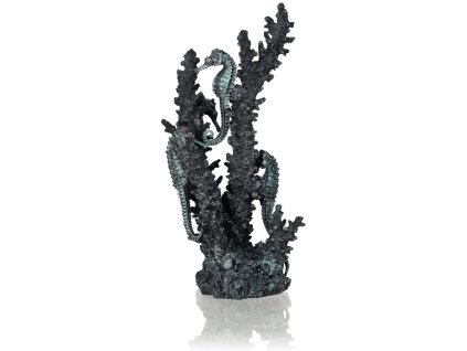 biOrb seahorses on coral black medium