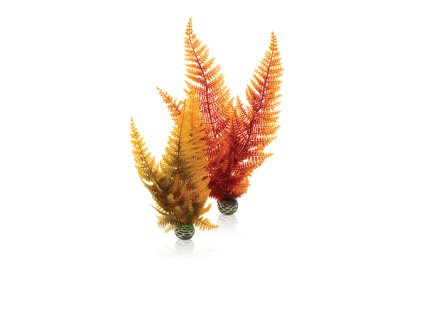 biOrb Aquatic autumn fern set 2