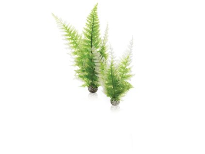 biOrb Aquatic winter fern set 2