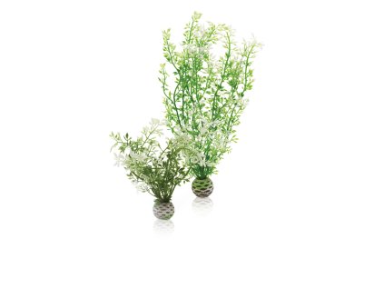 biOrb Aquatic winter flower set 2