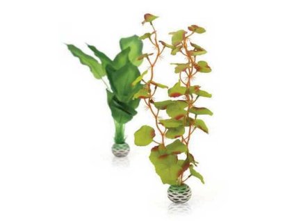 biOrb dekorace - Sada rostlin středně zelená M