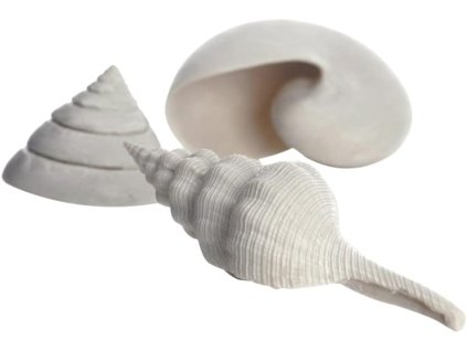 biOrb Sea shell set 3 white