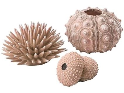 biOrb sea urchins set natural