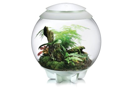 biOrb AIR 60 white