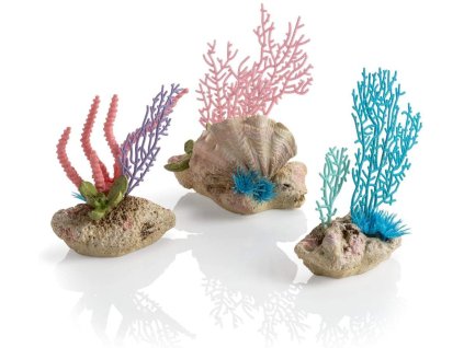 biOrb coral fans & shells set