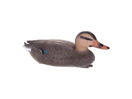 Divoká kachna do jezírka