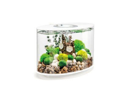 biOrb LOOP 15 LED white