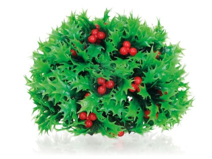 biOrb dekorace Cesmína