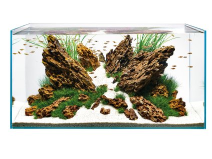ScaperLine 60 Aquarium