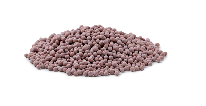 Oase Filtrační materiál Bio Pearls 1 l