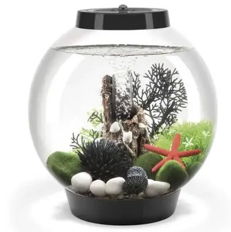 Oase biOrb CLASSIC 15 LED black