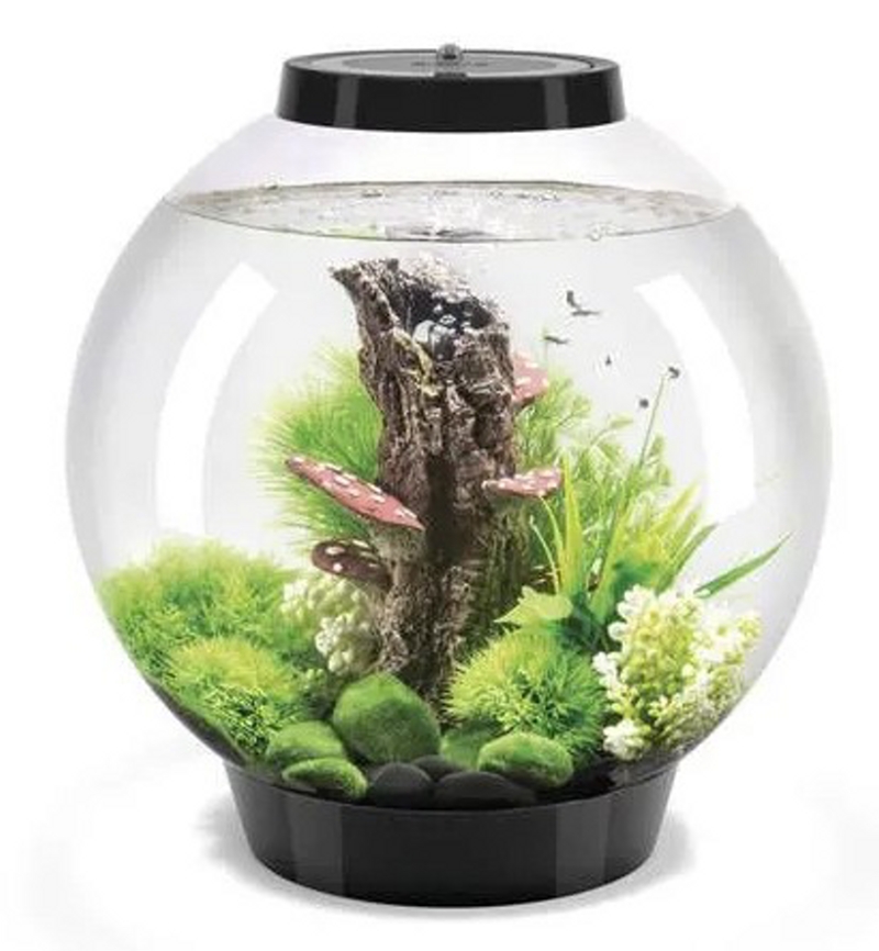 Oase biOrb CLASSIC 60 LED black