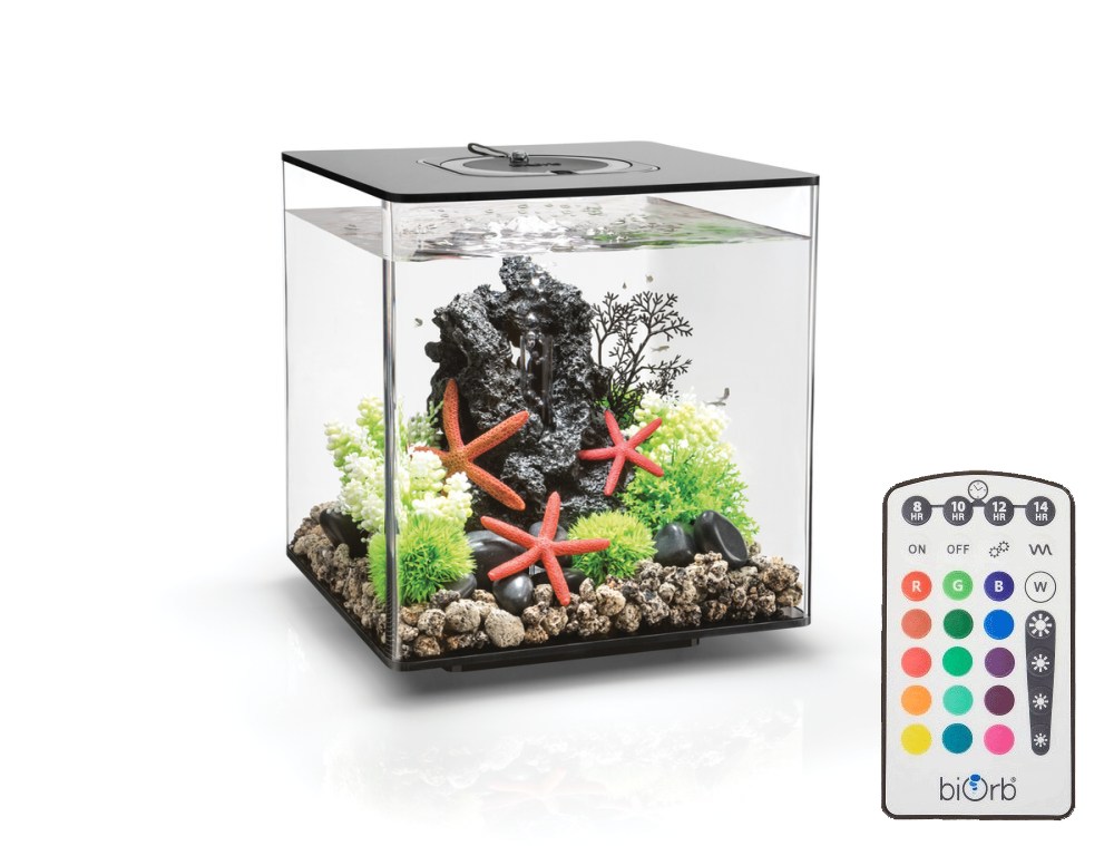 Oase biOrb CUBE 30 MCR black