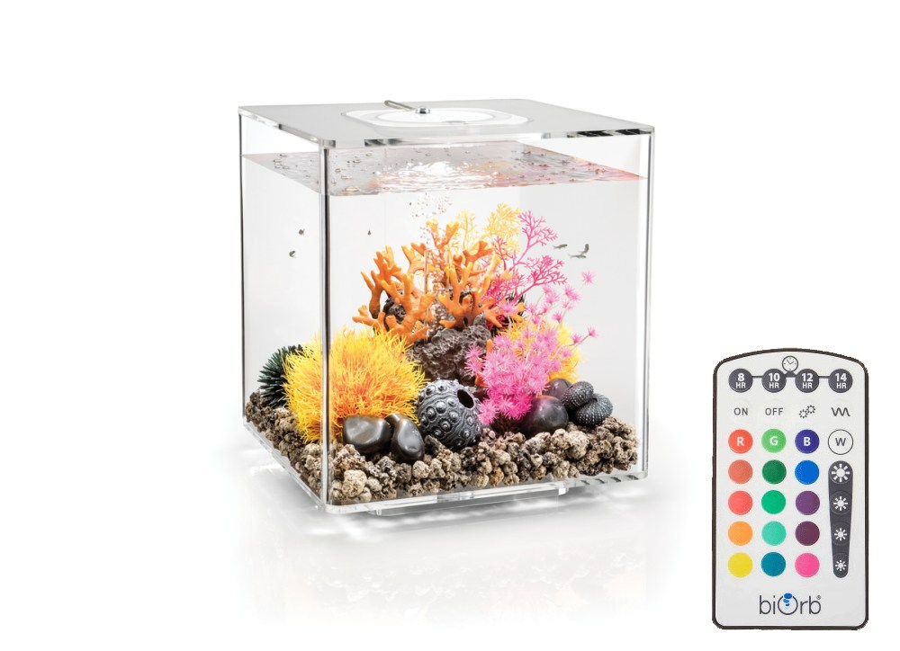 Oase biOrb CUBE 30 MCR transparent