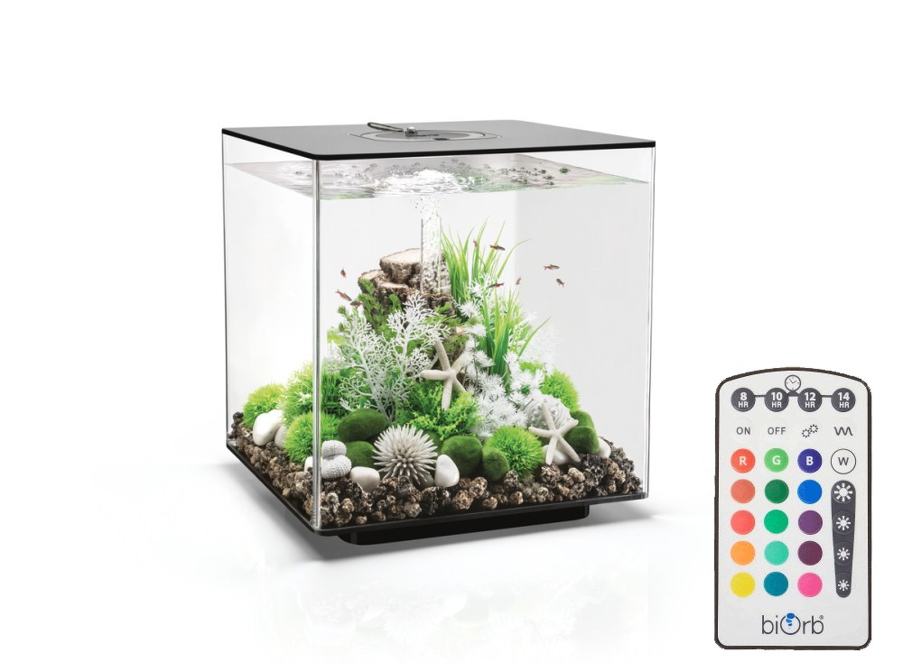 Oase biOrb CUBE 60 MCR black