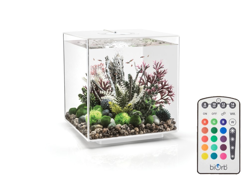 Oase biOrb CUBE 60 MCR white