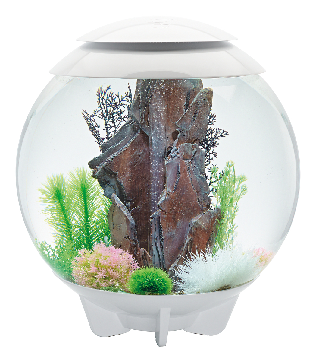 Oase biOrb HALO 60 LED white
