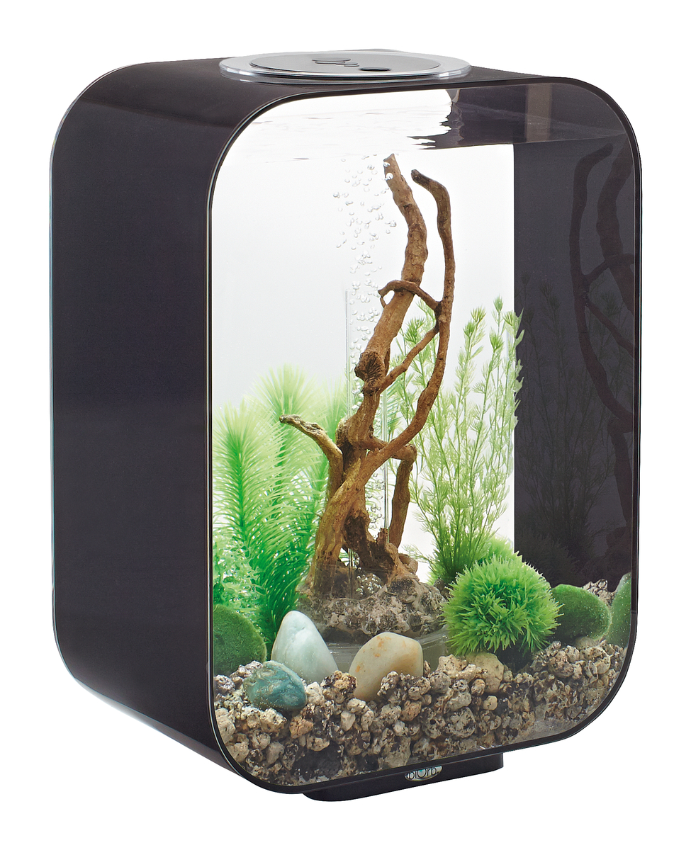 Oase biOrb LIFE 15 LED black