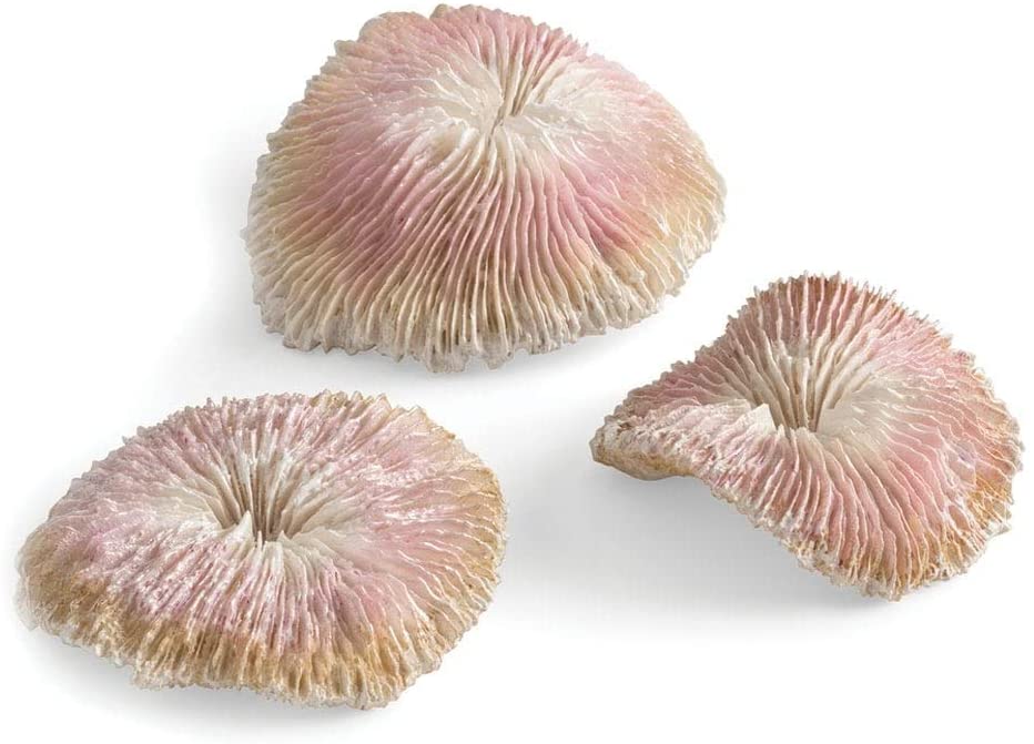 Oase biOrb dekorace - Sada mořských korálů