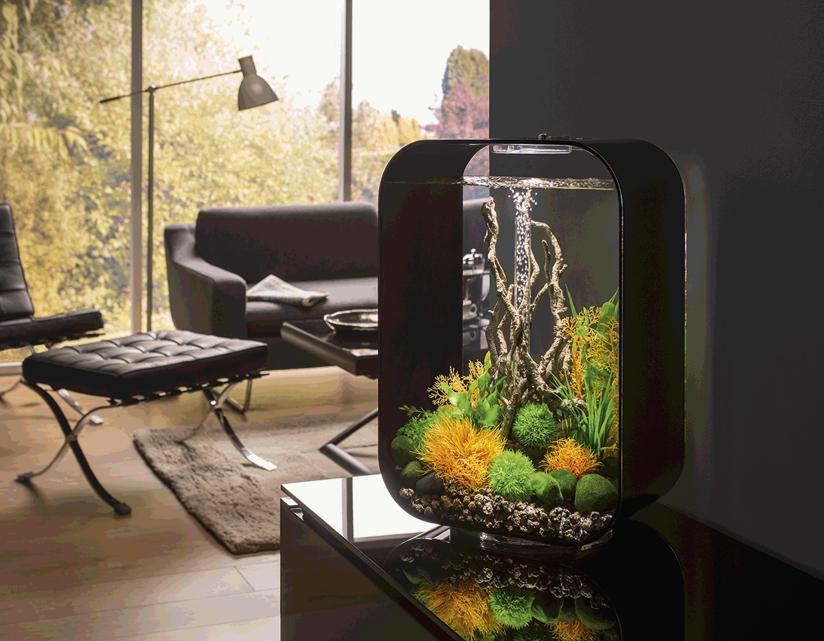 Oase biOrb dekorace - Amazonas kořeny S