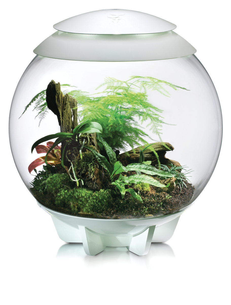 Oase biOrb AIR 60 - terárium bílé
