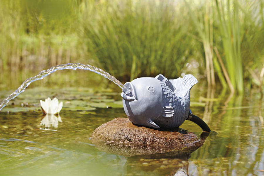 Oase Vodní chrlič - ryba