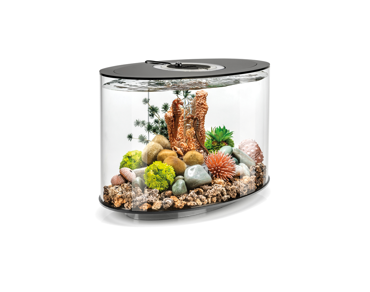 Oase biOrb LOOP 15 MCR black