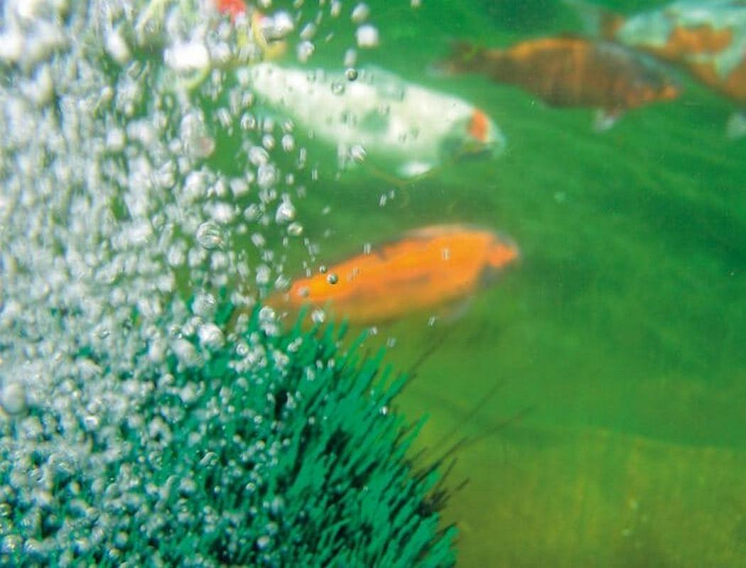 Oase OxyTex Set 1000 provzdušňovací sada