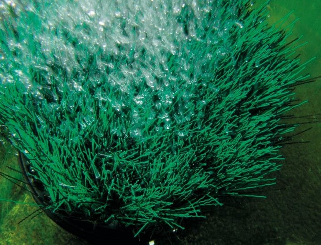 Oase OxyTex Set 1000 provzdušňovací sada