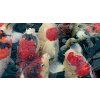 DYNAMIX Koi Pellets Small 4 l