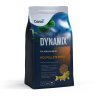 90882 Dynamix Koi Pellet small 20l 001