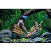 EDEN akvarijní dekorace - Vrak lodi