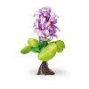 PondoHyacinth kvetoucí - jezírková dekorace