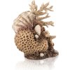 biOrb coral-shells ornament natural