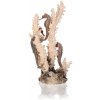 biOrb seahorses on coral natural medium
