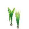 biOrb Easy plant set medium green