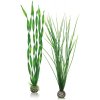 biOrb Easy plant set large green
