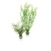 biOrb Aquatic winter flower set 2