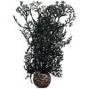 biOrb Sea fan small black