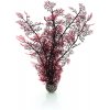 biOrb Sea fan large crimson