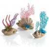 biOrb coral fans & shells set