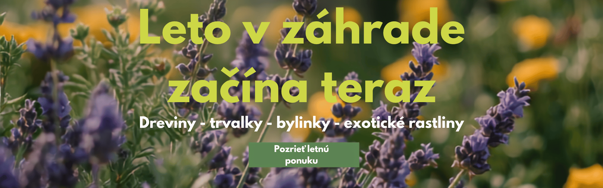 Leto v záhrade začína teraz